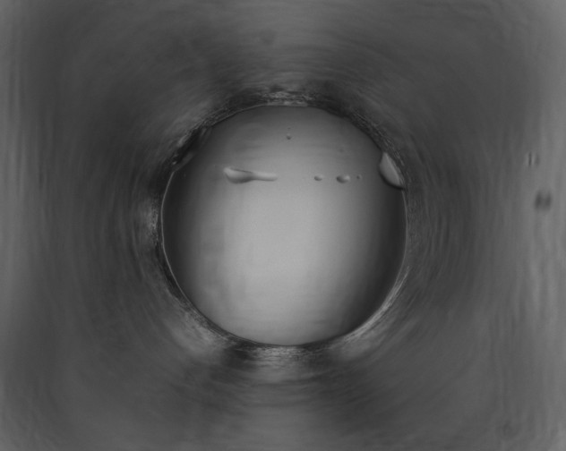 X0000090410192200707131155