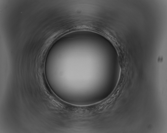 X0000090410193200707131155