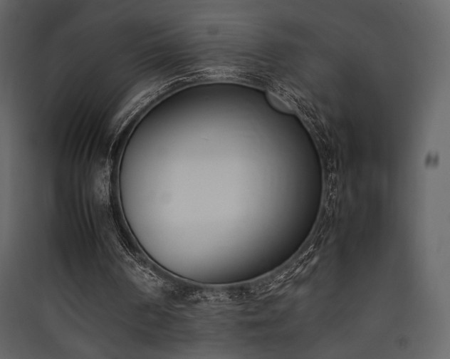 X0000090410194200707131155