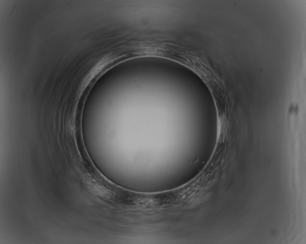 X0000090410195200707131155