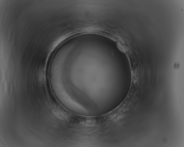 X0000090410196200707131155