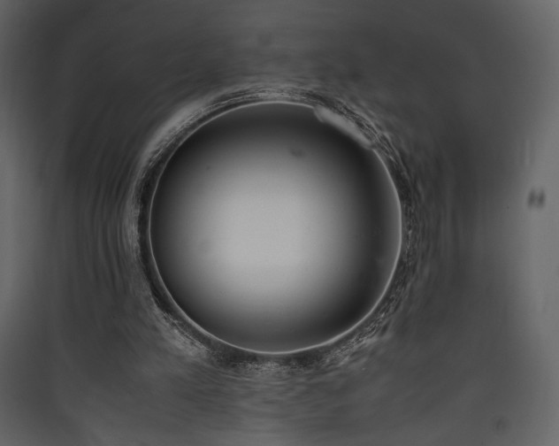 X0000090410197200707131155