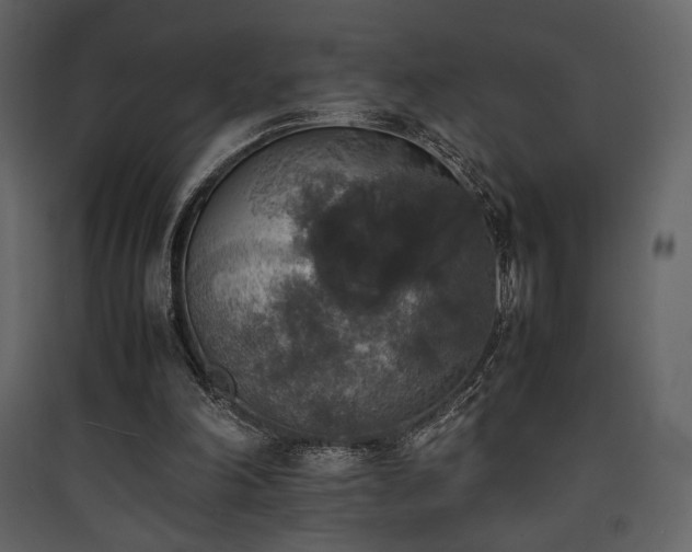 X0000090410198200707131155