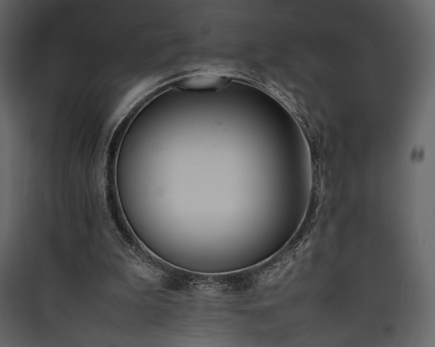 X0000090410199200707131154