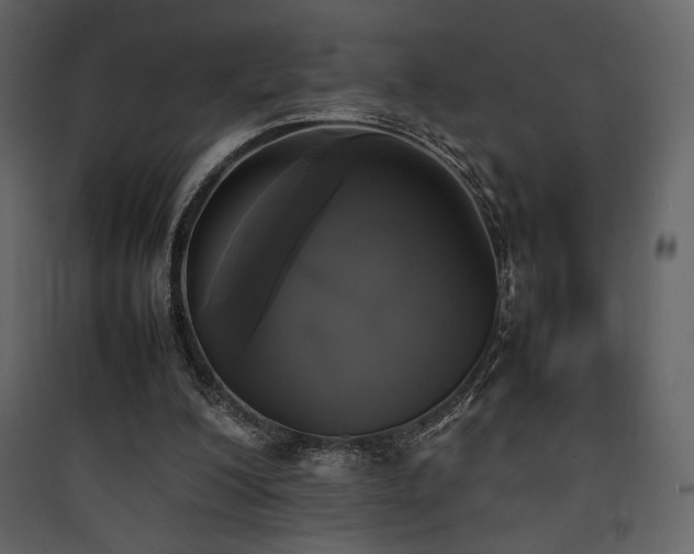 X0000090410200200707131154