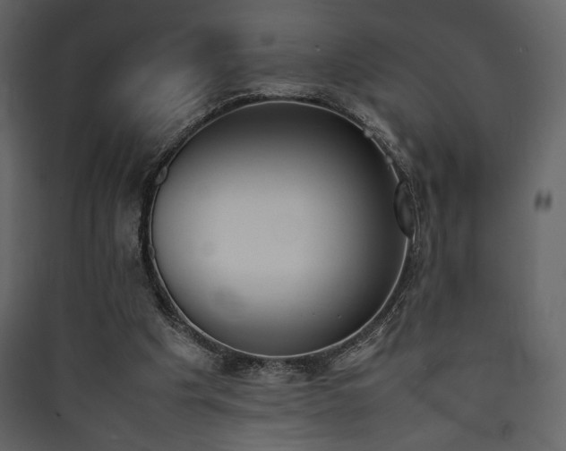 X0000090410201200707131154