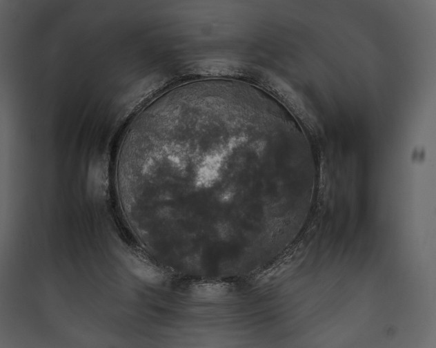 X0000090410202200707131154