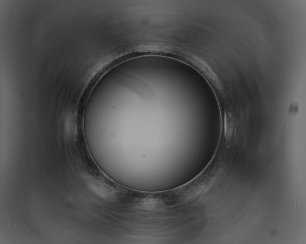X0000090410204200707131154