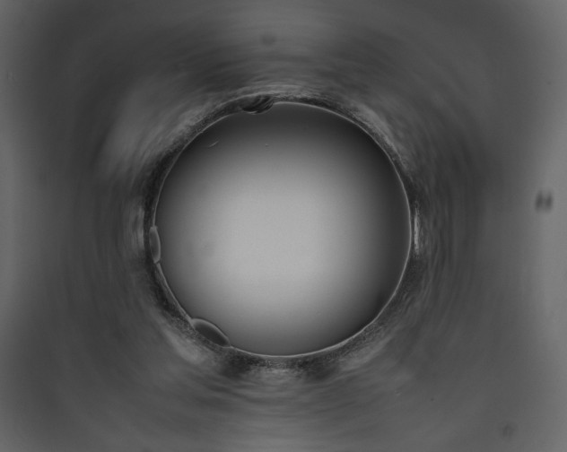 X0000090410205200707131154