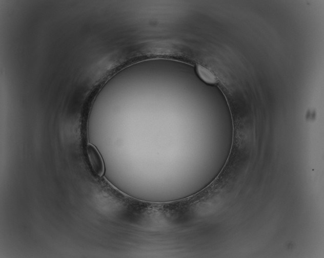 X0000090410207200707131154