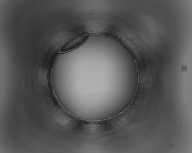 X0000090410209200707131154