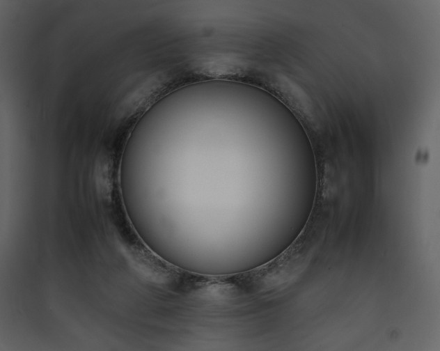 X0000090410210200707131154