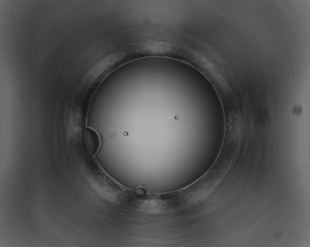 X0000090410212200707131154