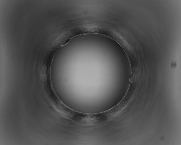 X0000090410213200707131154