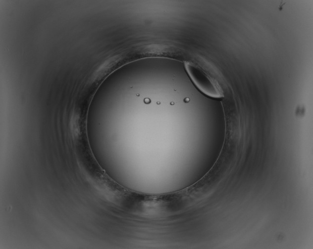 X0000090410216200707131154