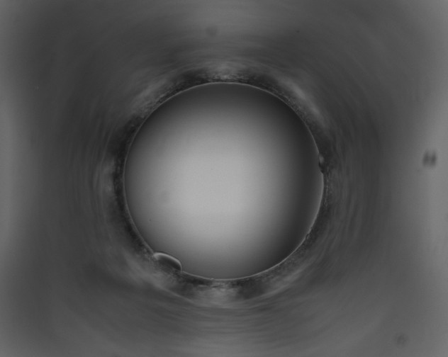 X0000090410217200707131154