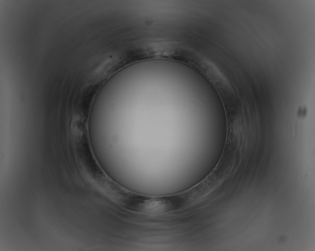 X0000090410218200707131154