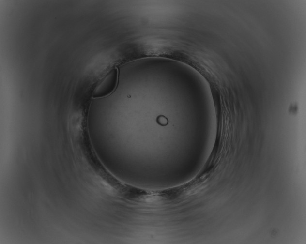 X0000090410219200707131154
