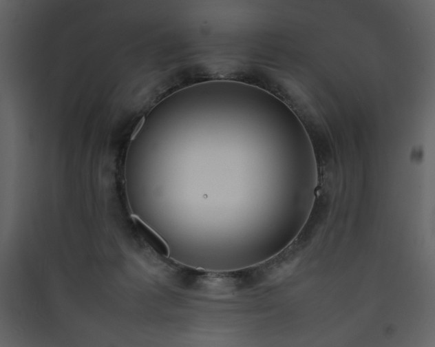 X0000090410221200707131154