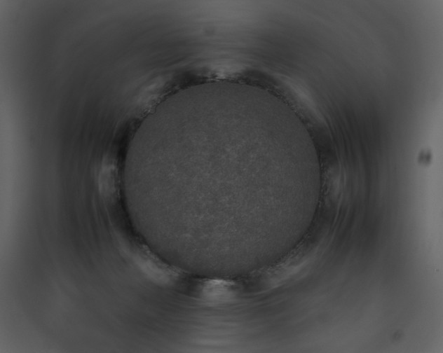 X0000090410222200707131154
