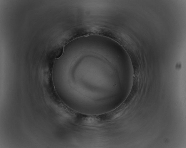 X0000090410223200707131154
