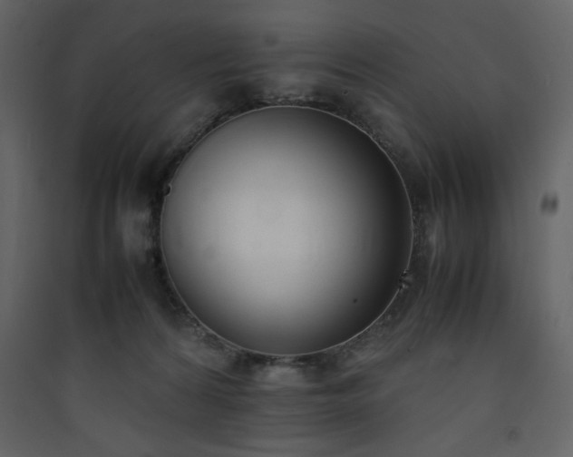 X0000090410224200707131154