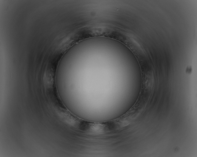X0000090410226200707131154