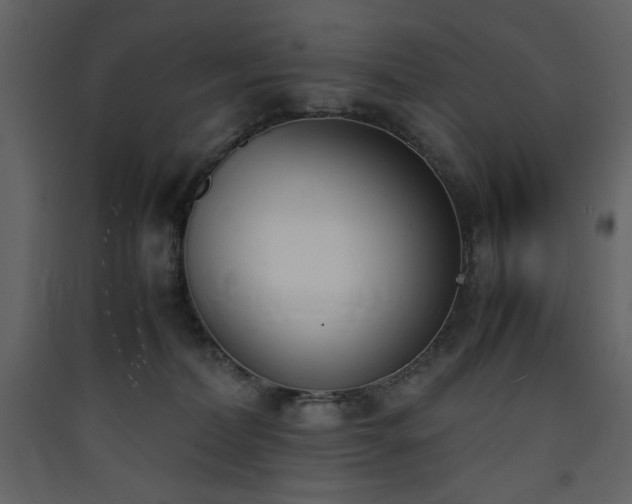 X0000090410228200707131154