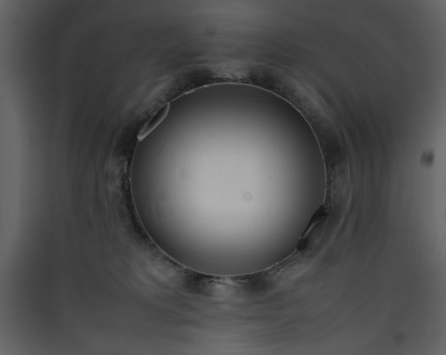 X0000090410229200707131154