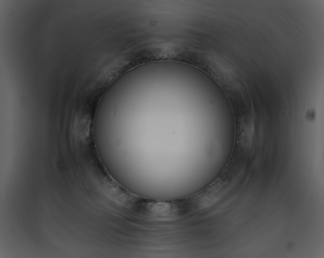 X0000090410230200707131154