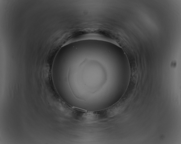 X0000090410231200707131154