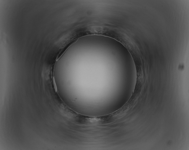 X0000090410233200707131154