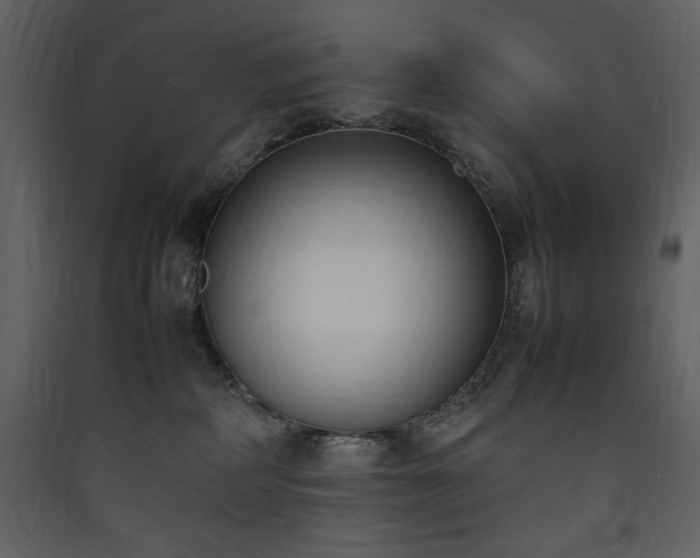 X0000090410234200707131154