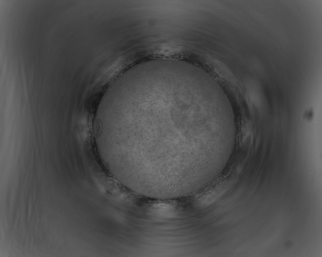 X0000090410236200707131154