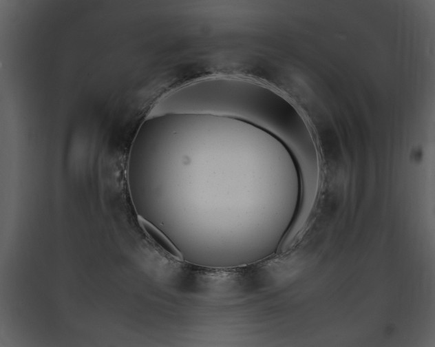 X0000090410237200707131154