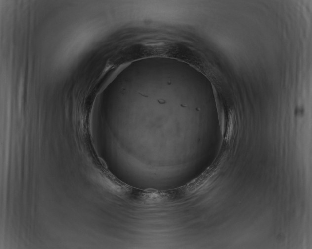 X0000090410239200707131154