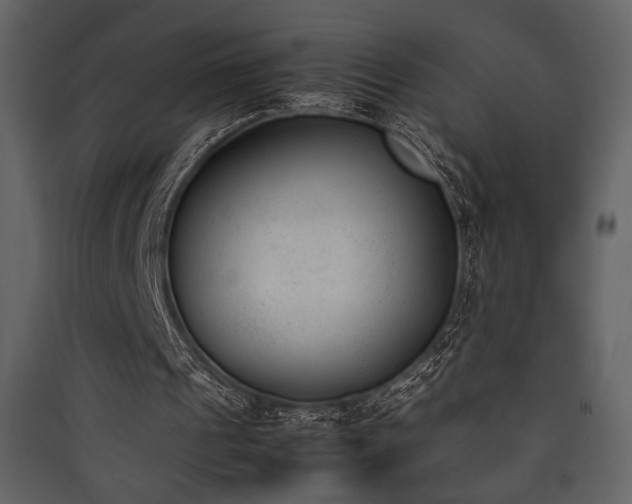 X0000090410241200707131153
