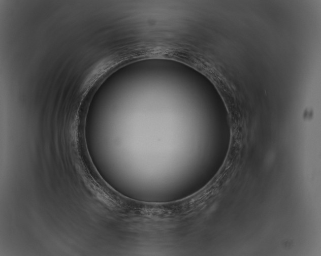 X0000090410242200707131153