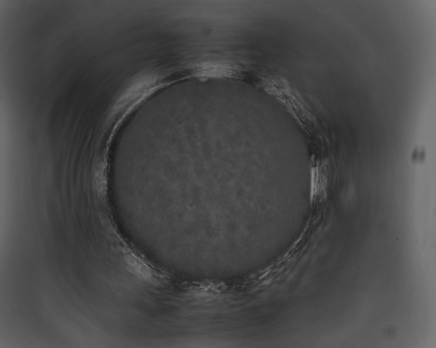 X0000090410243200707131153