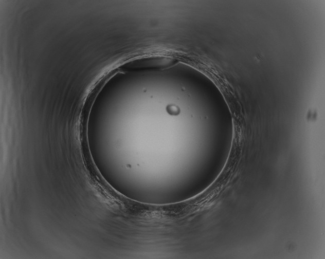 X0000090410244200707131153