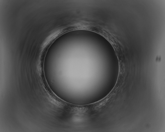 X0000090410245200707131153