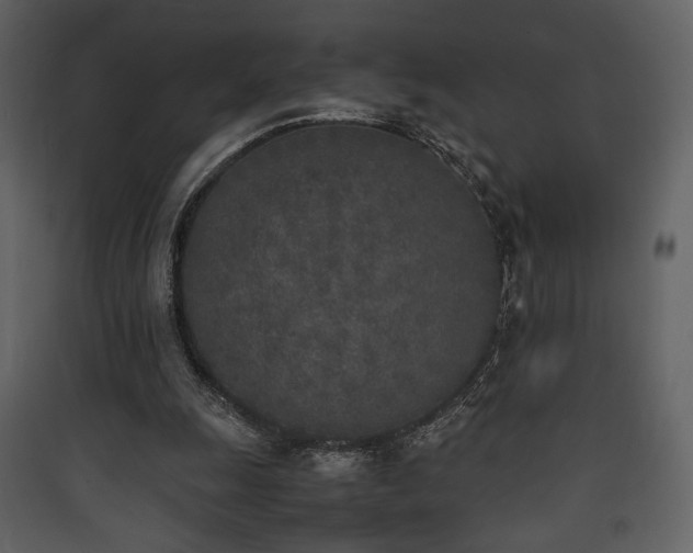 X0000090410247200707131153