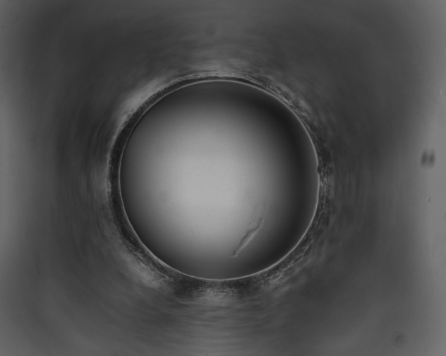 X0000090410248200707131153