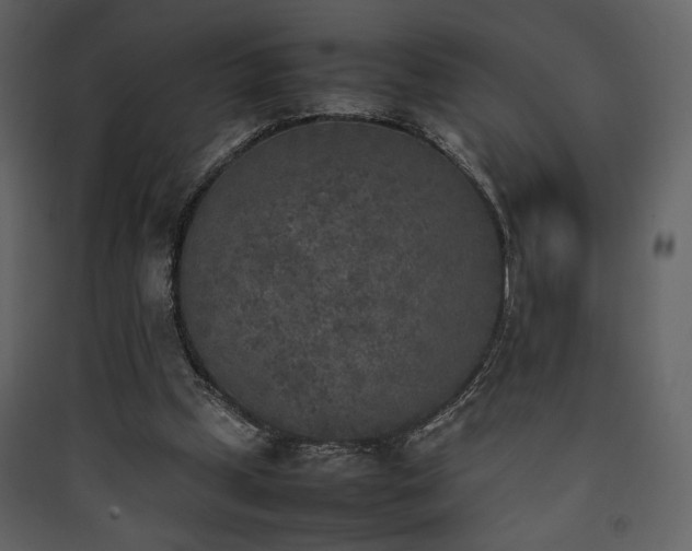 X0000090410249200707131153