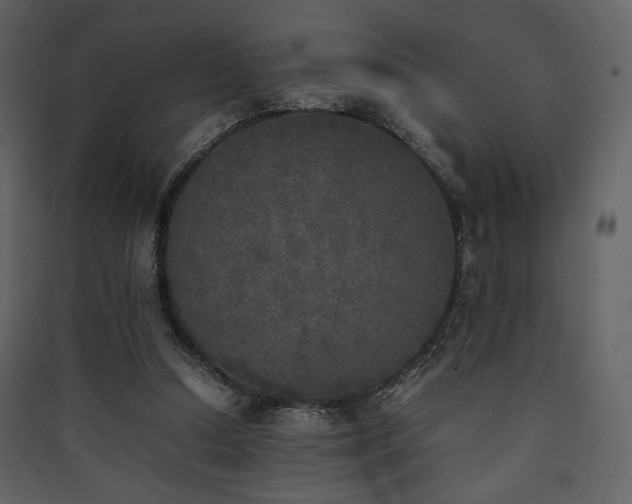 X0000090410250200707131153