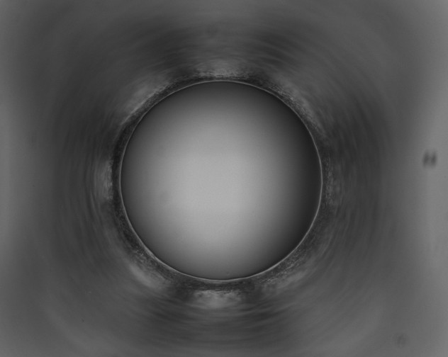 X0000090410251200707131153