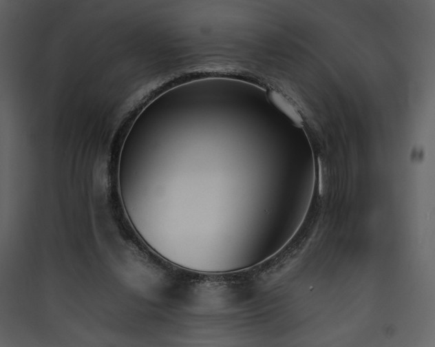 X0000090410252200707131154
