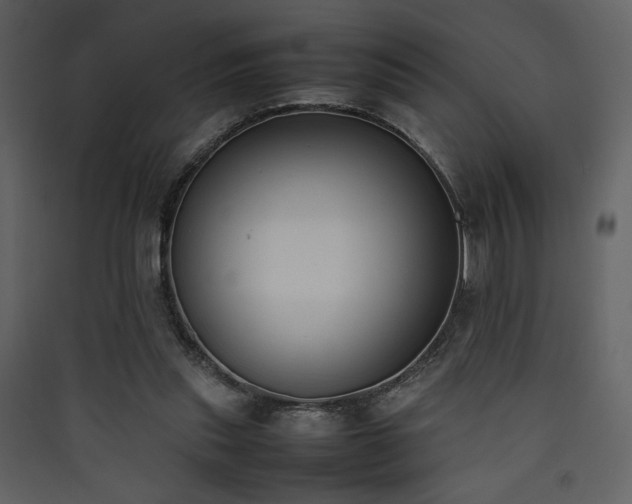 X0000090410253200707131154