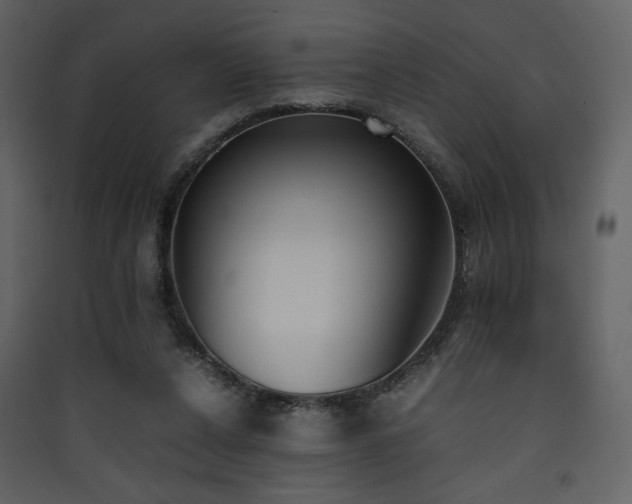 X0000090410256200707131154