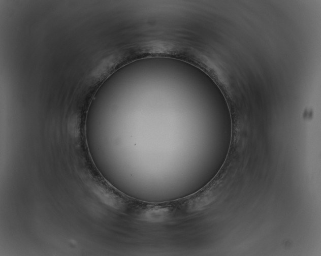 X0000090410257200707131154